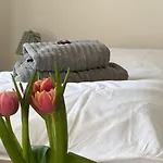 Πανσιόν Kitty 3*